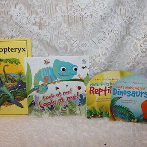 lot of 4 Dinosaur books and are in great condition different levels of reading